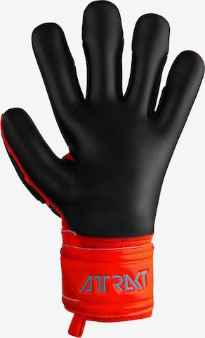 REUSCH Sporthandschoenen 'Attrakt Freegel Silver' in Rood