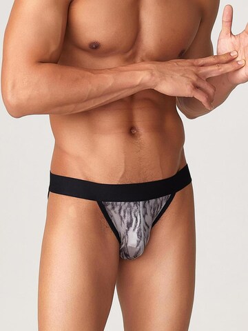 TAUWELL Panty 'Tiger' in Grey