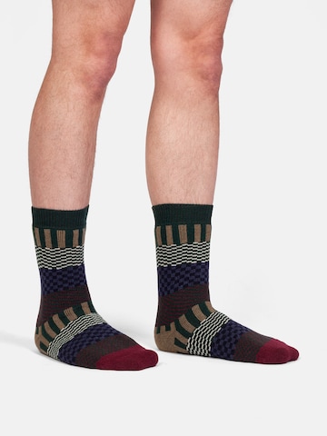 Chaussettes 'Extra Cozy Enni' DillySocks en mélange de couleurs : devant