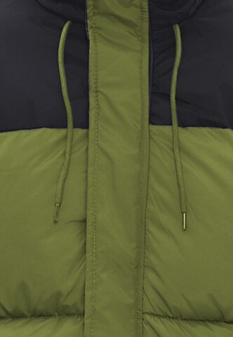 ALEKO Winter Jacket in Green