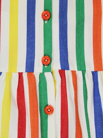 Toby Tiger Dress in Mixed colors