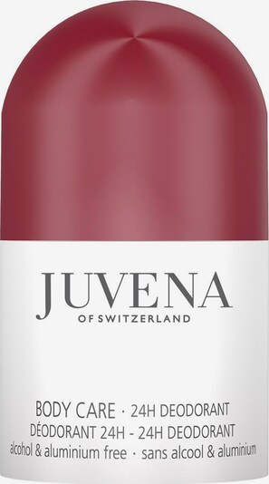 Juvena 24H Deodorant Roll-On in weiß, Produktansicht