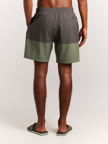 PROTEST Board Shorts 'PRTCabus' in Green