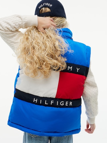 TOMMY HILFIGER Winter jacket 'Heritage' in Blue