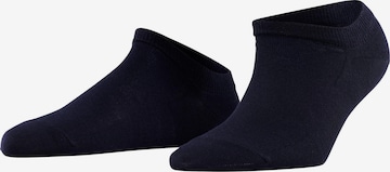 FALKE Füßlinge 'Active Breeze' in Blau: Vorderseite