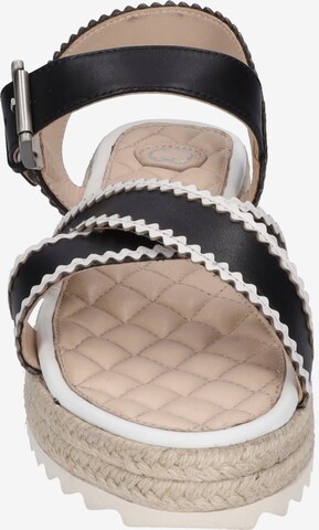 GERRY WEBER Strap Sandals 'Bari 01' in Black