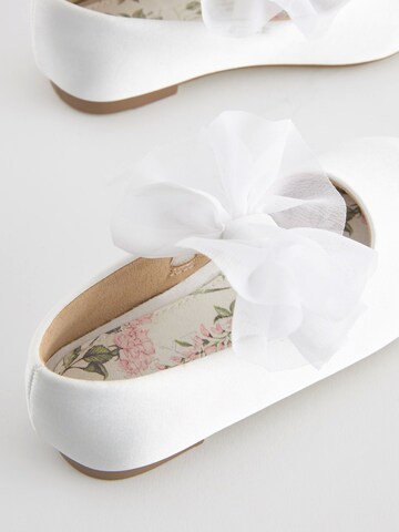Next Ballerina's in Wit