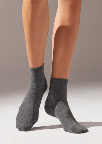 CALZEDONIA Socks in Grey: front
