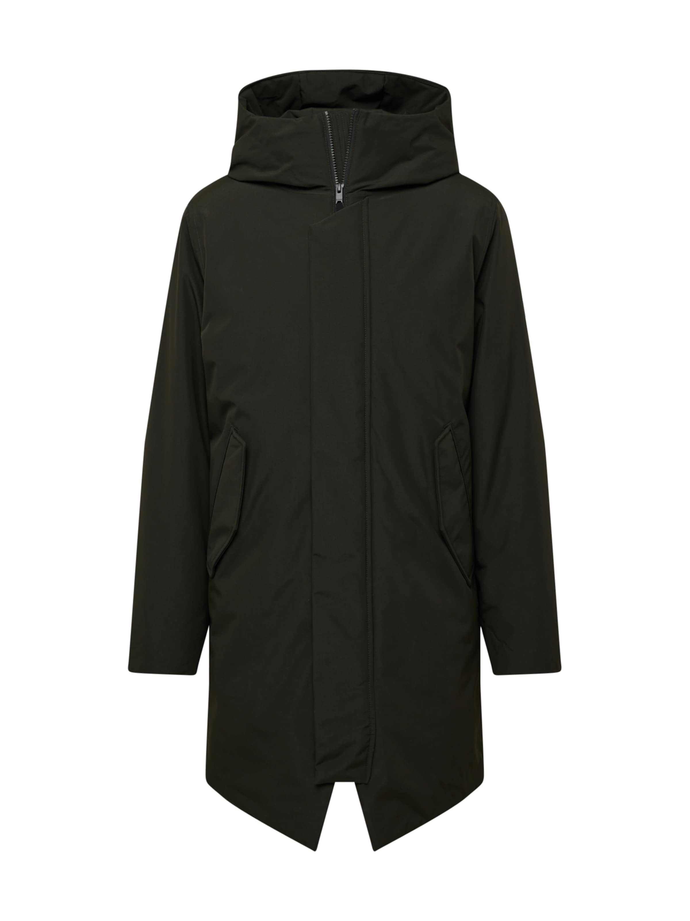 elvine Regular fit Преходно яке 'Gunter' в зелено: отпред