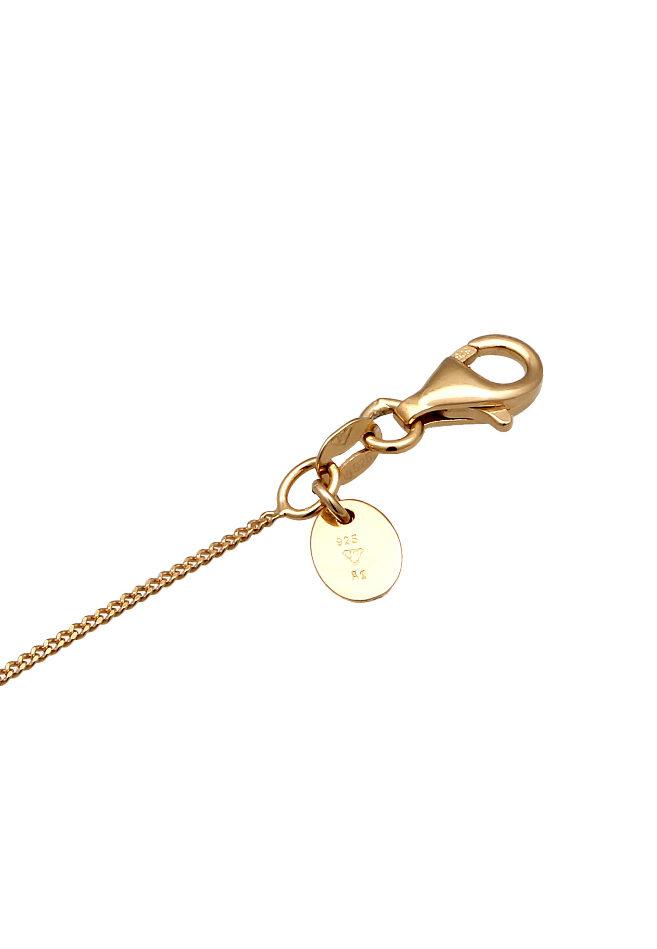 Elli DIAMONDS Ketting in Goud