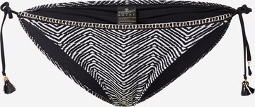 watercult Bikini Bottoms in Black: front