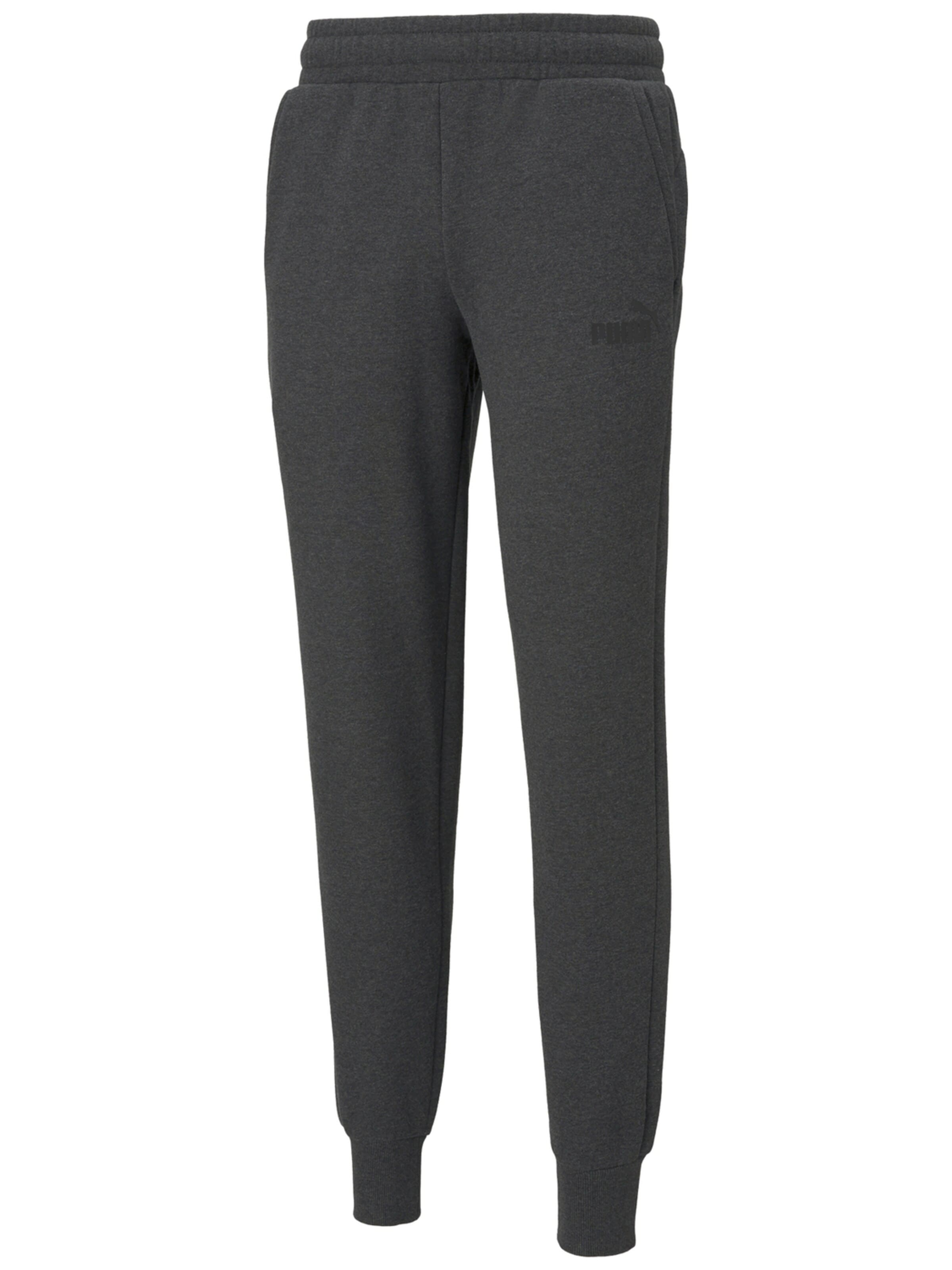 regular Pantaloni sportivi 'Puma Essentials Logo' di PUMA in grigio: frontale