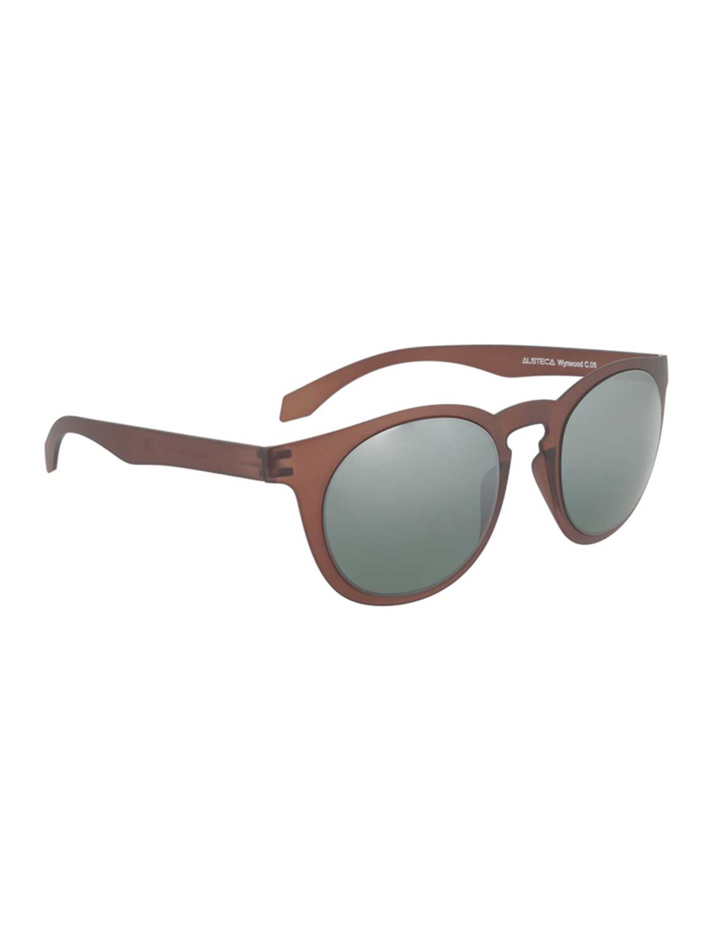 Alsteca Zonnebril 'Wynwood C06' in Bruin