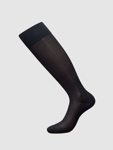zd ZERO DEFECTS Knee High Socks 'Mercerized cotton knee socks' in Grey: front