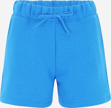 AÉROPOSTALE Normalny krój Spodnie w kolorze niebieski: przód