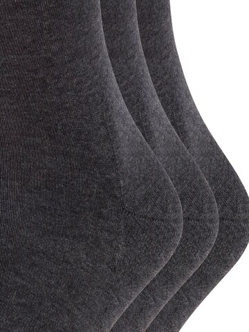 FALKE Socks 'Run 3-Pack' in Grey