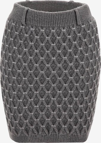 GUESS Skirt in Grey: front