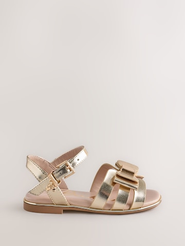 Baker by Ted Baker Босоножки в Золотой