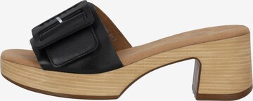 GABOR Mules 'Comfort 42.722' in Black