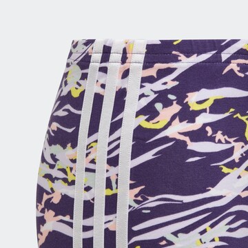 ADIDAS ORIGINALS Skinny Leggings in Lila