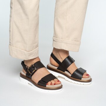 Sandalo di ARA in marrone