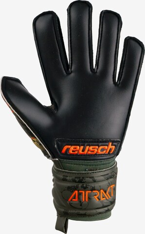 REUSCH Athletic Gloves 'Attrakt Silver' in Green