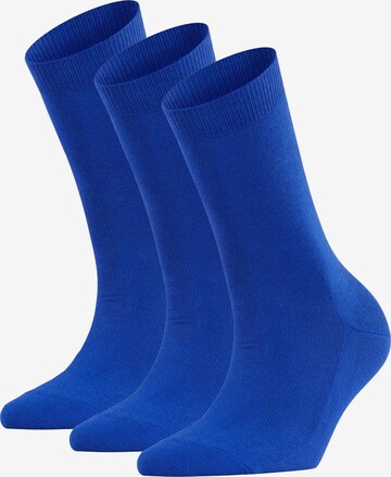 FALKE Socks in Blue: front