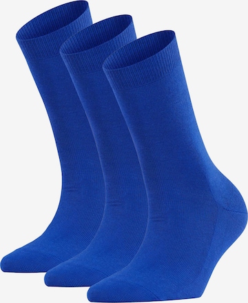 FALKE Sokker i blå: forside
