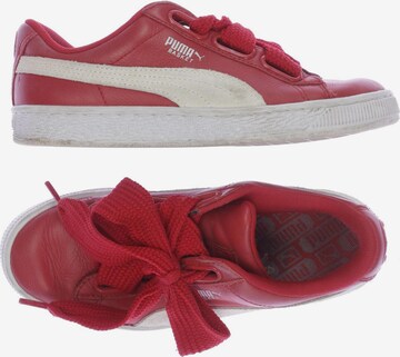 PUMA Sneakers & Trainers in 37 in Red: front