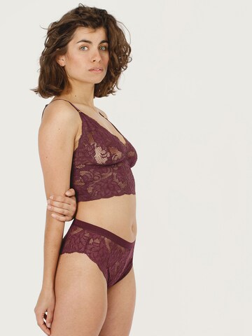 Erlich Textil Panty 'Isabell' in Lila