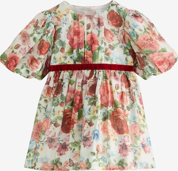 mišri Next Suknelė: priekis