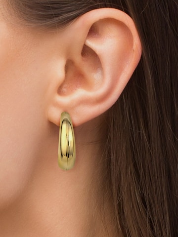 Heideman Earrings in Gold: front
