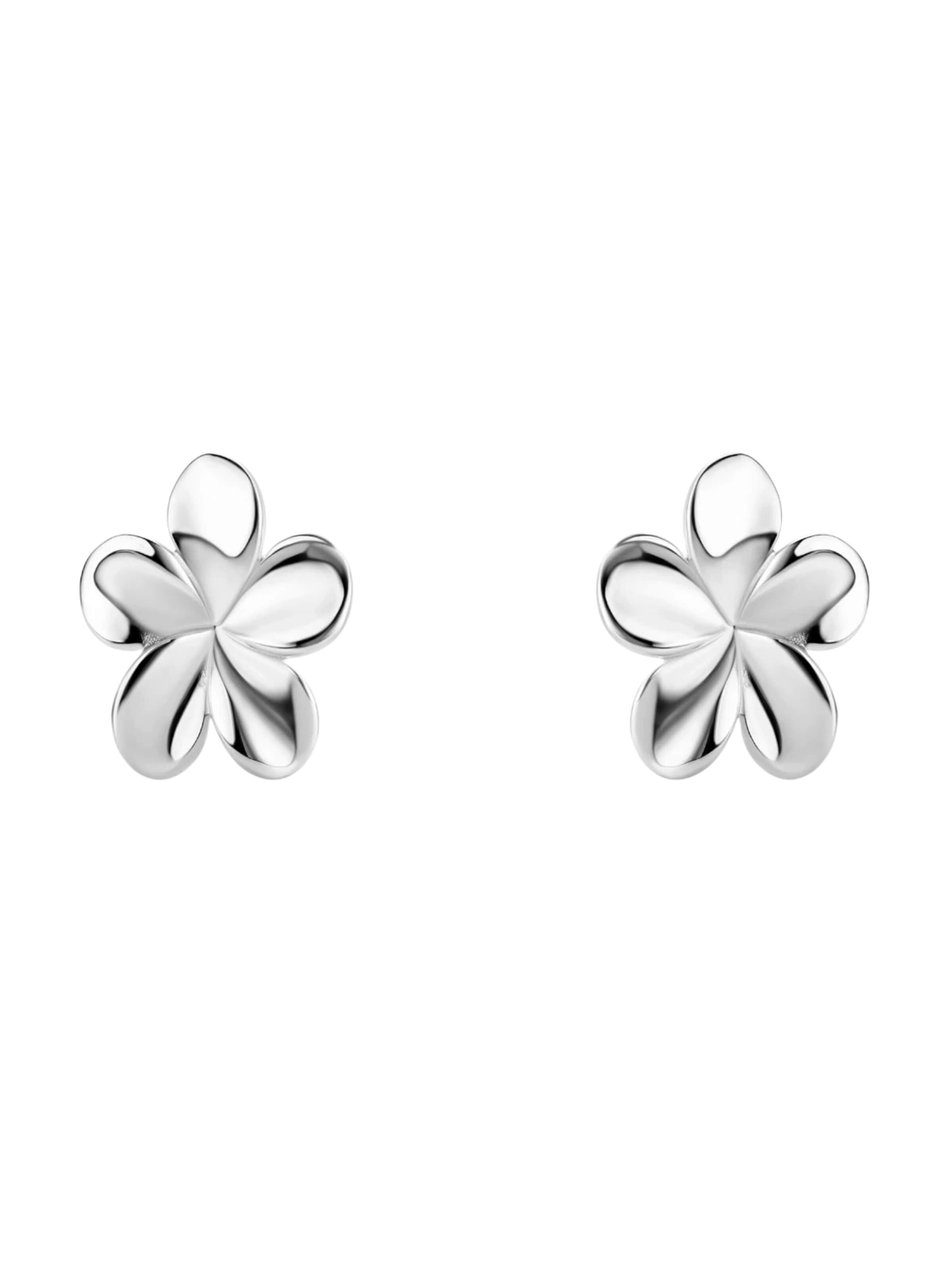 Orecchini di DIAMANT LETERNEL in argento