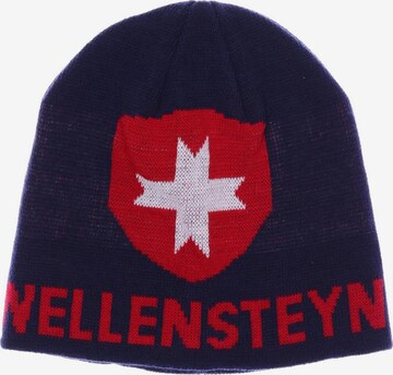 Wellensteyn Hat & Cap in One size in Blue: front