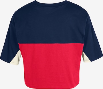 FILA - Camiseta 'BIRSTEIN' en rojo