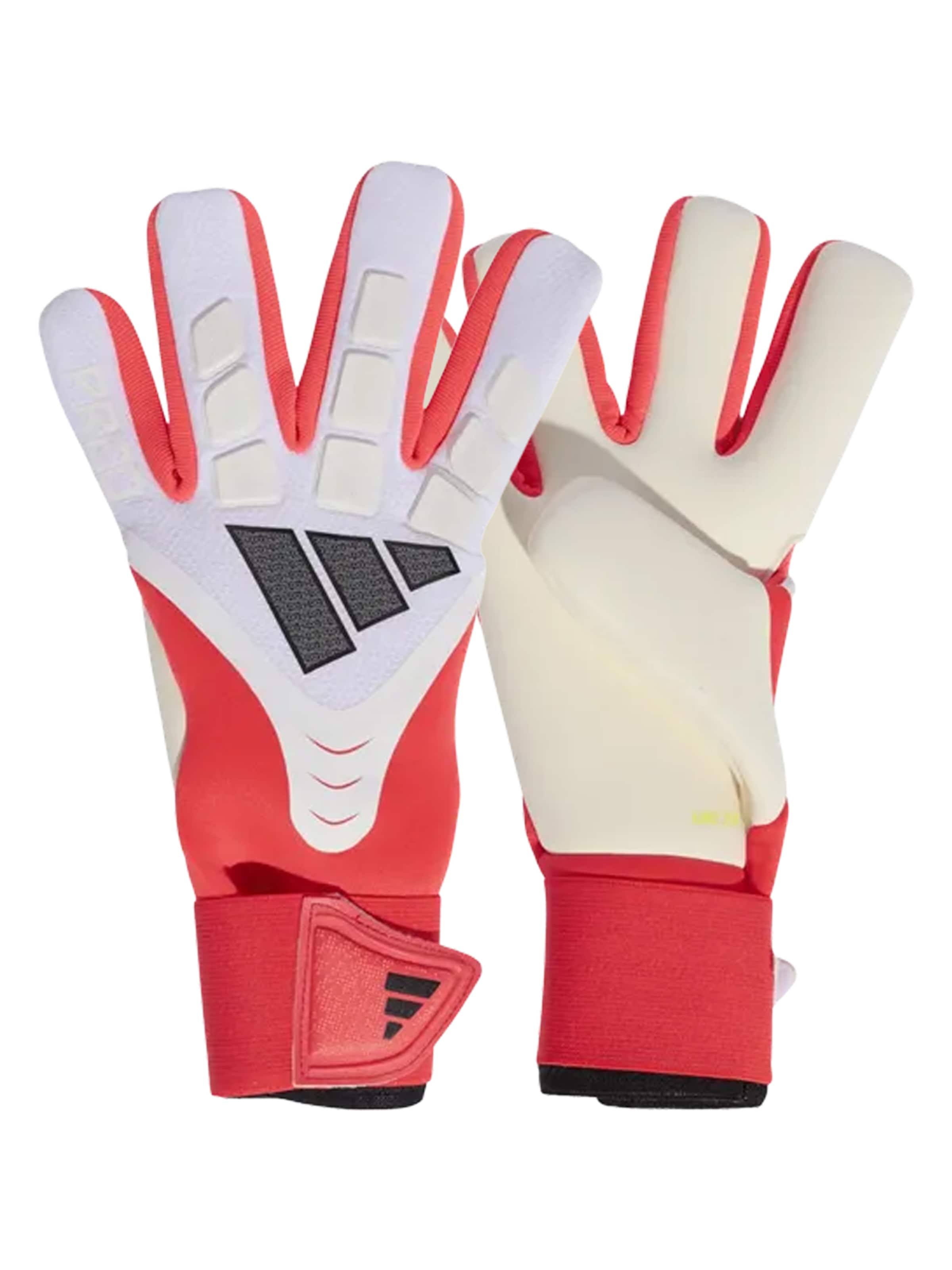 ADIDAS PERFORMANCE Sporthandschuhe 'Predator Competition Born for Goals'‌ in Weiß: Vorderseite