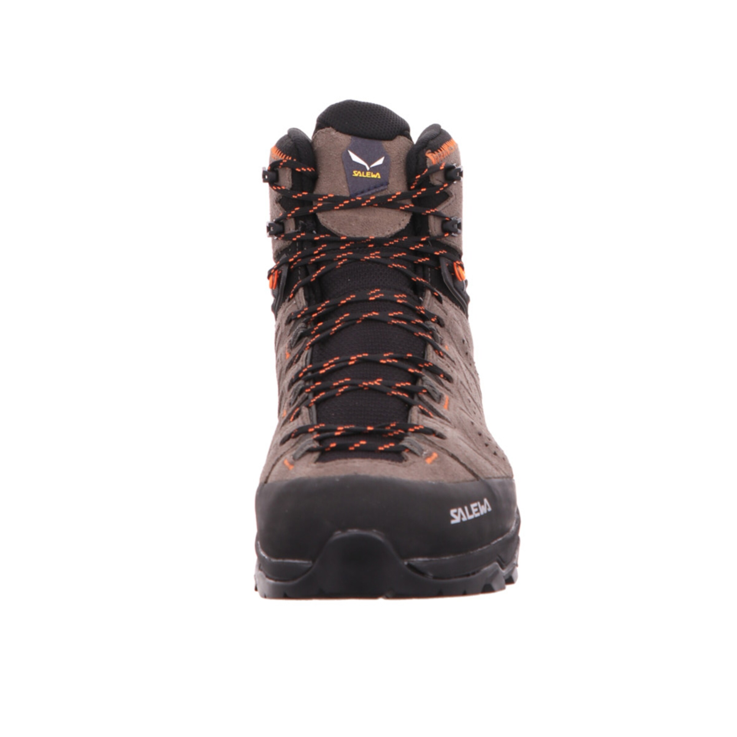 SALEWA Boots 'Alp Trainer 2  GTX' in Braun