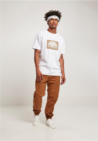 SOUTHPOLE Tapered Hose in Braun