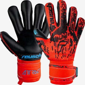 REUSCH Athletic Gloves 'Attrakt Freegel Gold' in Red: front