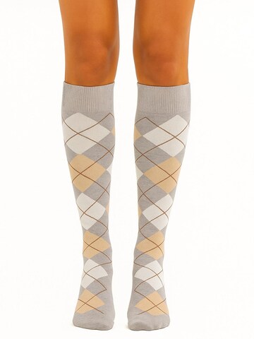 Lycille Knee High Socks in Grey: front
