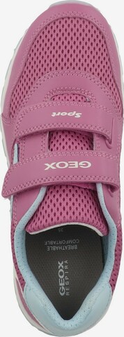 GEOX Sneakers 'Pavel' in Pink