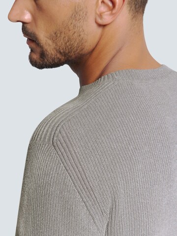 Pull-over No Excess en gris