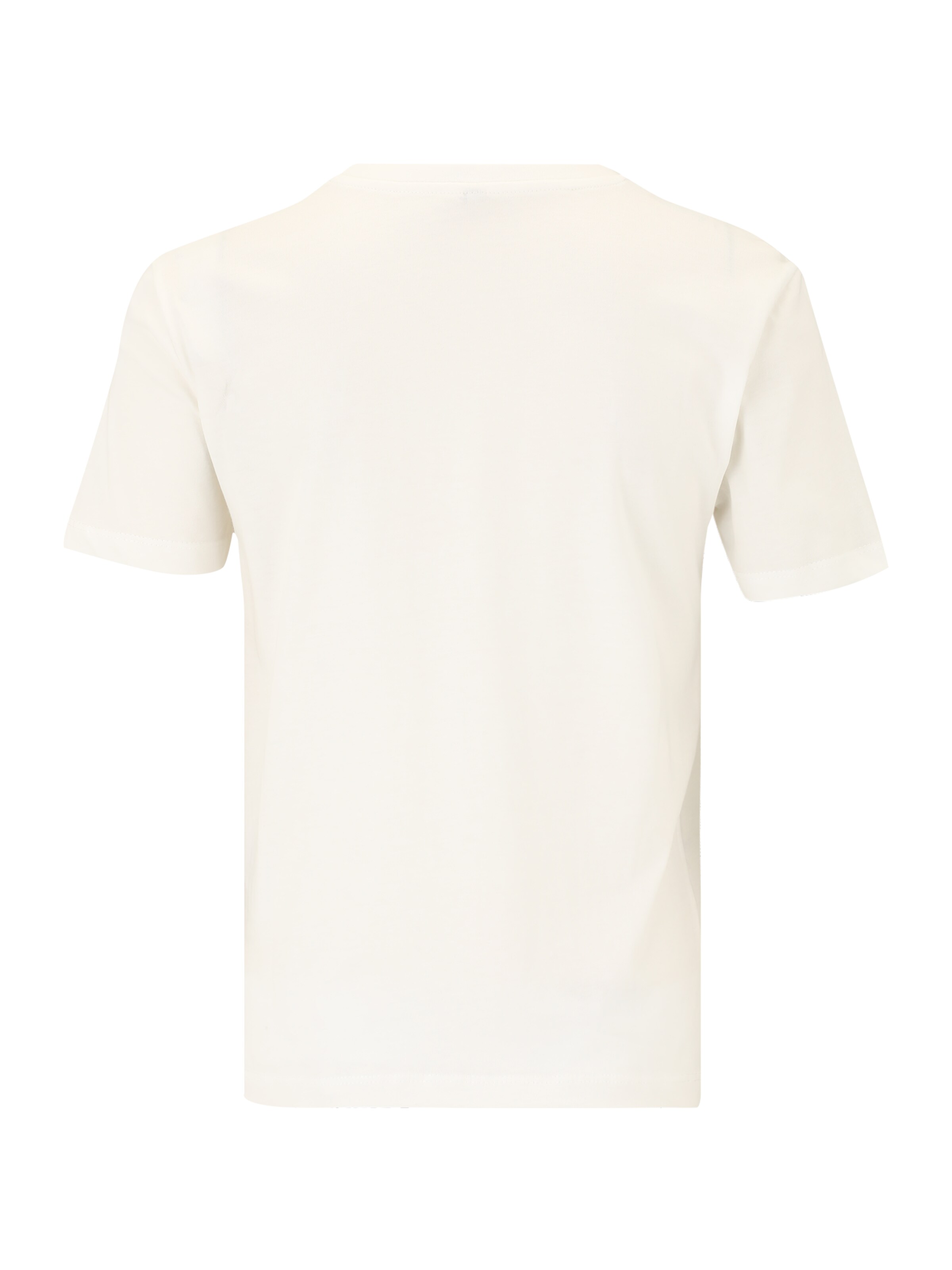 Only Petite Shirt 'ONLTANYA' in Wit