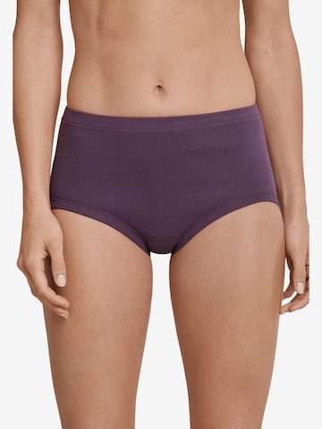 SCHIESSER Boyshorts ' Taillenslip ' in Purple: front