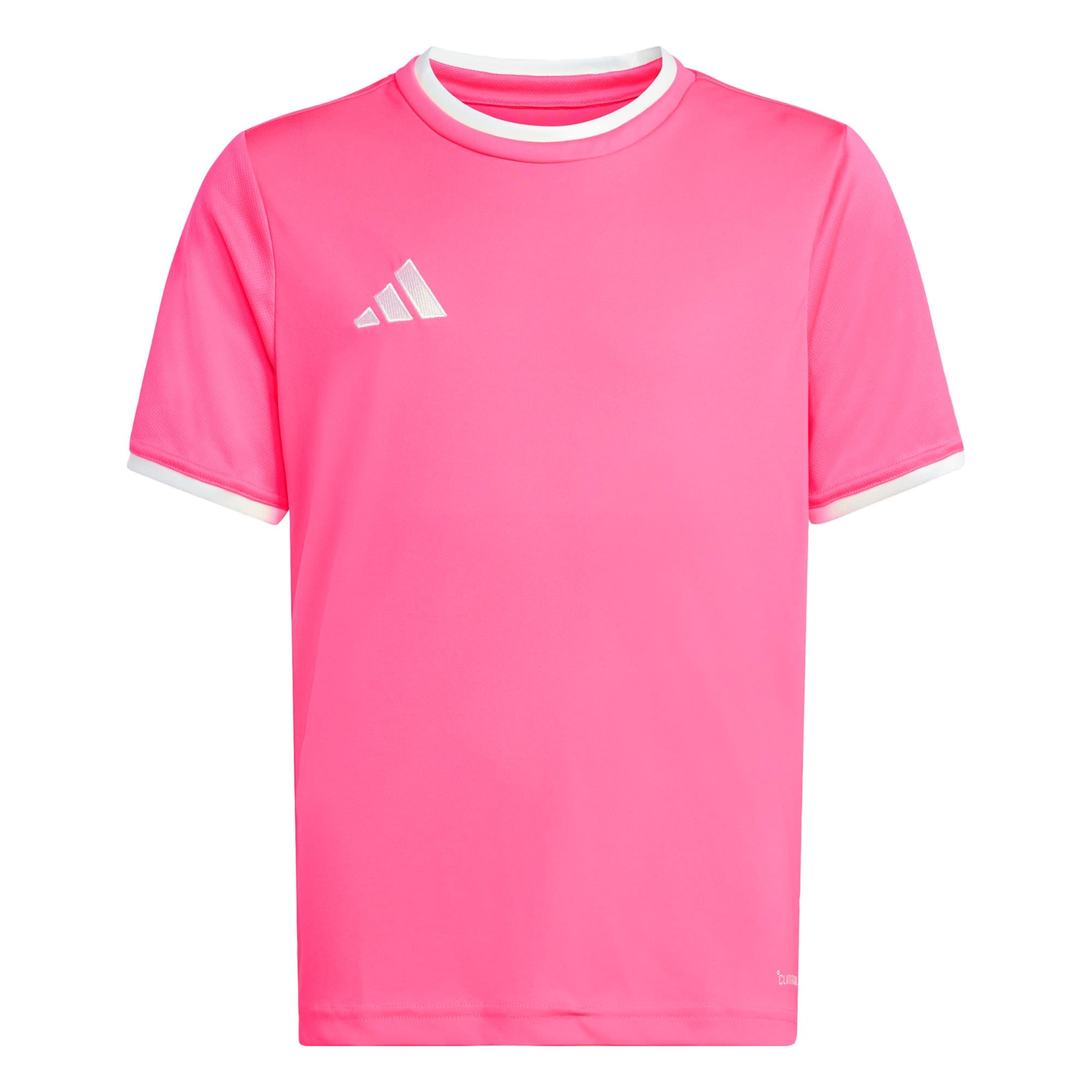 ADIDAS PERFORMANCE - Camisa funcionais 'Entrada26' em rosa: frente