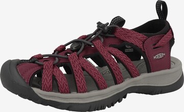 KEEN - Sandália 'Whisper' em vermelho: frente