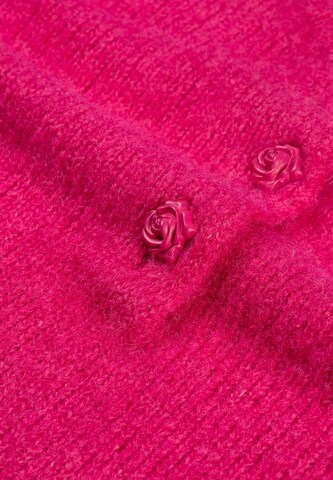 Fabienne Chapot Pullover in Pink