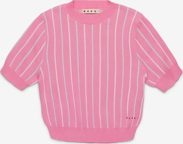 rožinė Marni Megztinis: priekis