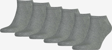 TOMMY HILFIGER Sokken in Grijs: voorkant