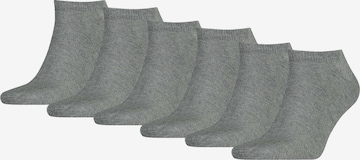 TOMMY HILFIGER Socken in Grau: predná strana